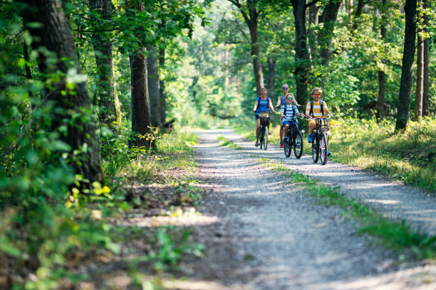 Chartres en famille — vélo en forêt